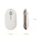 Мышь Xiaomi Mi Portable Bluetooth Mouse 3 XMBXSB01YM (Black)